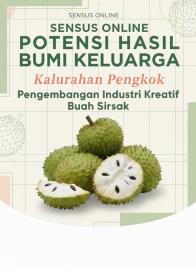 Sensus Online Pintu Pembuka Industri Kreatif Sirsak Kalurahan Pengkok
